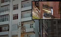 Kayseri'de o evde yılan vakası! Ev sahibi şok oldu