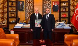 Devlet Bahçeli'nin ardından Kayserili başdanışmandan operasyon çıkışı!
