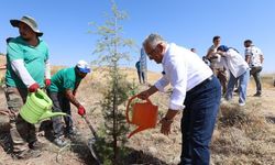 Başkan Büyükkılıç zabıtalar için 800 fidan dikti