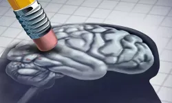 Alzheimer hastalarına iyi geliyor: Sık sık tüketmeleri gerek