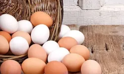 Yumurtayı sakın böyle yemeyin: Uzmanlar büyük yanlışı açıkladı