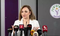 DEM Parti Öcalan ile görüşmeye gidiyor