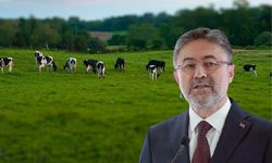 Çiftçiye 4.5 milyarlık destek ödemesi