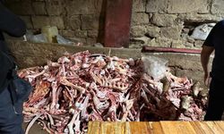 Kayseri'de ahırda 1.5 ton kaçak et ele geçirildi