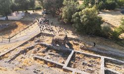 Kayseri Keykubadiye Sarayı kültür mirası