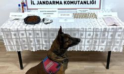 Kayseri'de narkotik baskınında evden çıkmayan kalmadı