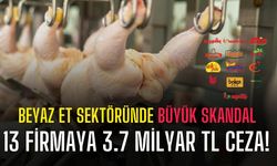 Rekabet Kurulu’ndan dev ceza: Piliç üreticilerine 3.7 milyar TL yaptırım!