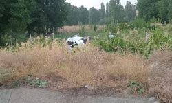 Otomobil mısır tarlasına devrildi: 2 yaralı