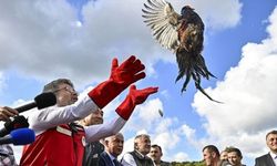 1 milyon üzerinde keklik ve sülün doğaya bırakıldı!