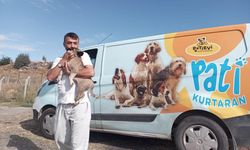 Pati Evi ekipleri 8 metre derinlikten yavru köpeği kurtardı