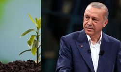Cumhurbaşkanı Erdoğan 11 Kasım seferberliği için çağrıda bulundu