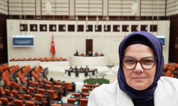 Böhürler: Anayasa’da Türkiye kavramı üzerinden bir kimlik tanımı getirilebilir