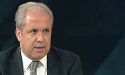 AKP’li eski vekil DEM Partiye ateş püskürdü: ‘Sinir uçlarıyla oynuyorlar’