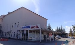 9 Yaşında ki kız çocuğunu arı sokunca kalbi durdu!