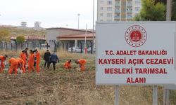 Kayseri Bünyan Açık Cezaevi'nde hükümlüler çalışıp üretime katkı sağlıyor