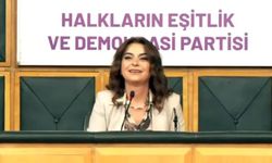 TBMM’de akıl almaz slagon! DEM Partililer: ‘Biji Serok Apo’