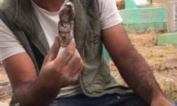 Diyarbakır'da mezarda kefene sarılmış oyuncak bebek bulundu!