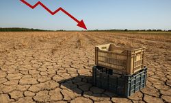 Tarımda tehlike çanları! 2025’te üretim sert düşüyor