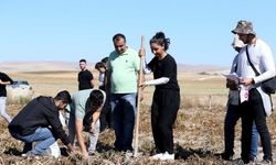Erciyes Üniversitesi’nde yerli bakteriyle patates üretiminde yeni dönem başladı!