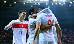 Türkiye Dünya Kupası’na katılırsa kasasını dolduracak! İşte millileri bekleyen ödül