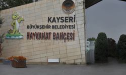 29 Ekim’de Hayvanat Bahçesi ücretsiz olacak!