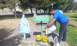 İncesu Belediyesi ‘’Sokak hayvanlarını korumak hepimizin görevi’’