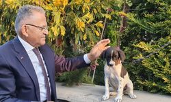 Kayseri’de sahipsiz hayvanlara sürdürülebilir destek: Belediye mama üretecek!