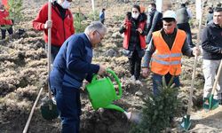 Kayseri Büyükşehir Belediyesi 38 bin fidanı toprakla buluşturuyor