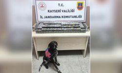 Kayseri'de 2 tırda yüzlerce paket kaçak sigara yakalandı