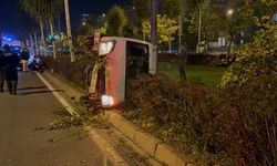 Ağacı devirip tramvay durağına daldı! Sürücü kaç promil çıktı dersiniz?
