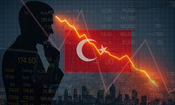 Dünyaca ünlü ekonomistten Türkiye açıklaması
