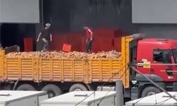 Belediyeden skandal görüntü: Ekmekleri ayaklarıyla ezdiler
