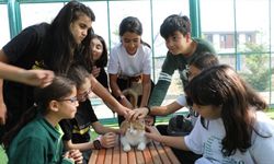 Küçük Dostlar Kedi Kasabası Kocasinan’da: Sokak hayvanları için büyük sürpriz!