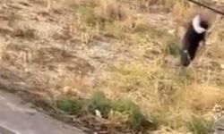 Kürekle öldüresiye vurdu: Çığlıkları mahalleyi inletti!