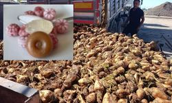 Şeker fabrikalarında metal kalıntısı! Bakanlık harekete geçti