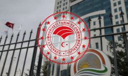 Tarım ve Orman Bakanlığı 200 sözleşmeli personel alıyor!