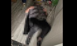 Belediyenin ihmali yüzünden bir kadın feci şekilde can verdi!