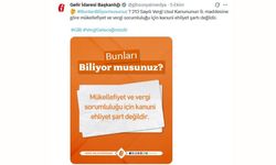 Vergi mükellefi olmak için kanuni ehliyet şartı yok