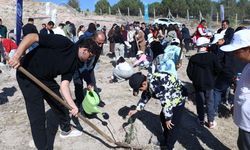 Kayseri yeşile doyacak her ilçeye binlerce fidan dikilecek