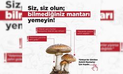 Zehirli mantarlara dikkat: Sezonun başlamasıyla Tarım ve Orman Bakanlığı uyardı!