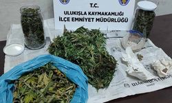 Niğde'de dev yasaklı madde operasyonu: 13 gözaltı!