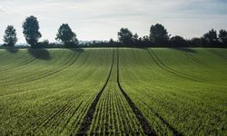 Melikgazi'de büyük fırsat! Arsalar kısa süre mahkemeden bu rakama verilecek