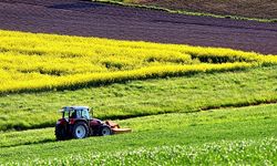 Kayseri'de en hızlı ve en güzel yetişen bitki listesi: Buna bakmadan ekmeyin
