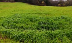 İncesu'da 5 dönüm alan icradan diye resmen bu rakama satılacak: İşte son tarih