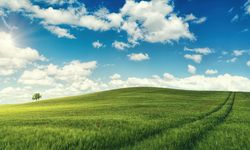 Kayseri'de toprak sahibi yapacak büyük fırsat: Bu nedenle ucuza satılacak