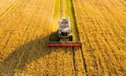 Kayseri'de toprak sahibi olma şansı: İşte fiyat ve tarih