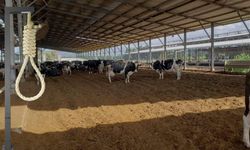 Şüpheli ölüm: 17 yaşındaki genç ahırda asılı halde bulundu!