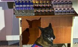 Kayseri’de kaçak sigara operasyonu: yüzlerce paket ele geçirildi