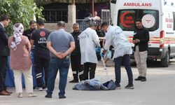 Anlık tartışma cinayetle bitti: Yaşlı adam av tüfeğiyle komşusunu öldürdü!