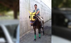 Araç muayenesine yetişmek isterken seyise çarptı!